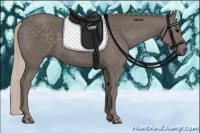 Horse Color:Silver Black 