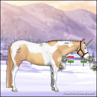 Horse Color:Watercolor Chestnut Pearl Sabino Splash Tobiano Varnish Rabicano 