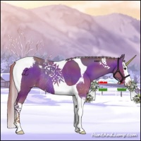 Horse Color:Chestnut Splash Tobiano Blanket Rabicano