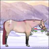Horse Color:Bay Dun Sabino Varnish 