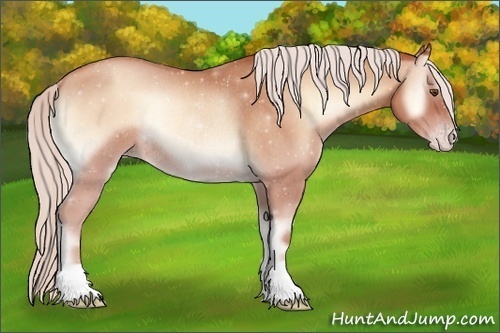 Horse Color:Silver Sable Champagne Onyx Rabicano 