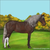 Horse Color:Silver Brown