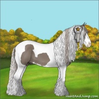 Horse Color:Silver Grullo Splash Tobiano