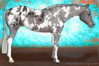 Horse Color:White Spotted Silver Brown Blanket 