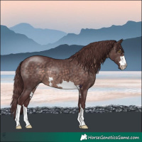 Horse Color:Platinum Chocolate Brown 