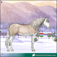 Horse Color:Liver Red Dun Pearl Mushroom Splash Rabicano