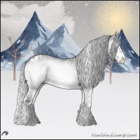 Horse Color:White Spotted Silver Brown Chinchilla Onyx 