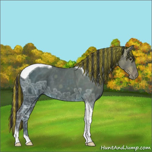 Horse Color:Painted Liver Chestnut Ice Tobiano 