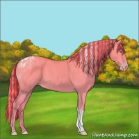 Horse Color:Painted Silver Amber Cream Champagne Dun Tobiano