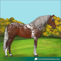 Horse Color:Silver Brown Tobiano 