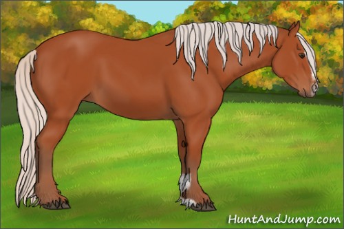 Horse Color:Silver Bay Sabino