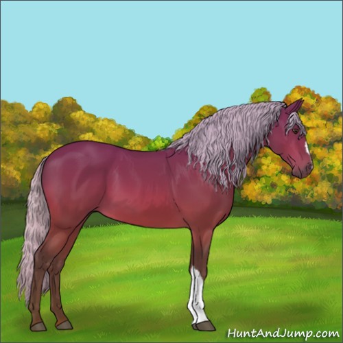 Horse Color:Silver Brown 