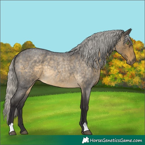Horse Color:Silver Buckskin Roan Rabicano 