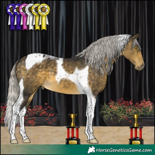 Horse Color:Silver Buckskin Mushroom Tobiano 