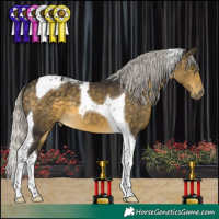 Horse Color:Silver Buckskin Mushroom Tobiano 