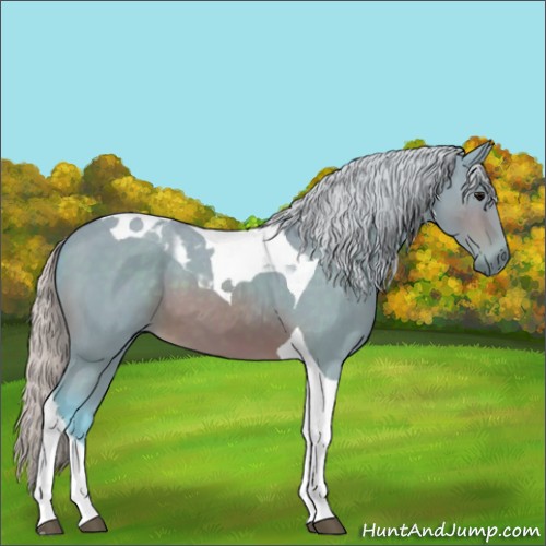 Horse Color:Watercolor Silver Brown Tobiano