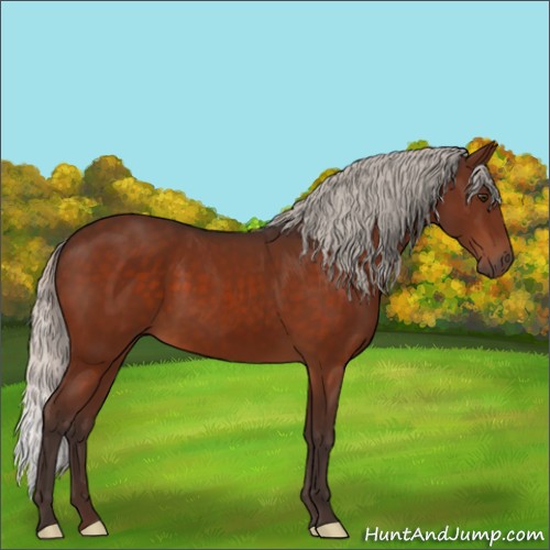 Horse Color:Silver Brown 