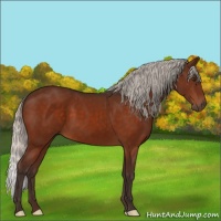 Horse Color:Silver Brown 