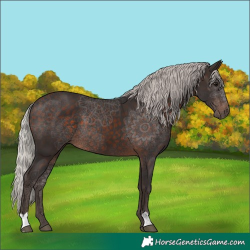 Horse Color:Silver Brown