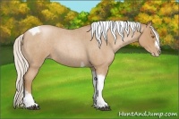 Horse Color:Silver Blue Roan Pearl Tobiano Frame 