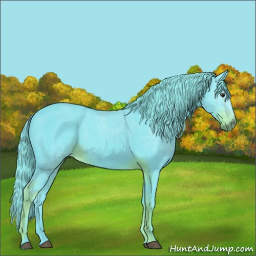 Horse Color:Watercolor Liver Chestnut 
