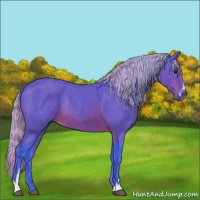 Horse Color:Watercolor Silver Brown Sabino Rabicano