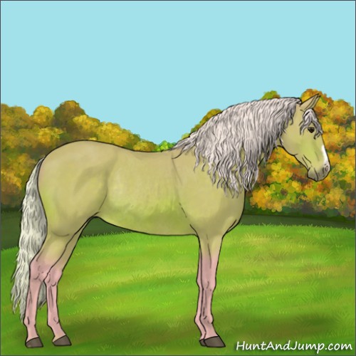 Horse Color:Watercolor Silver Bay Rabicano 