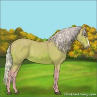 Horse Color:Watercolor Silver Bay Rabicano