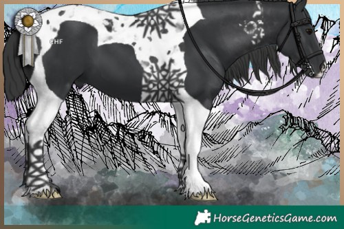 Horse Color:Black Tobiano 