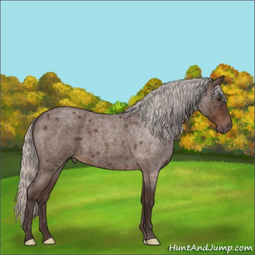 Horse Color:Silver Brown Roan 