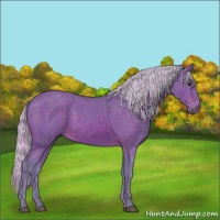 Horse Color:Watercolor Silver Brown 