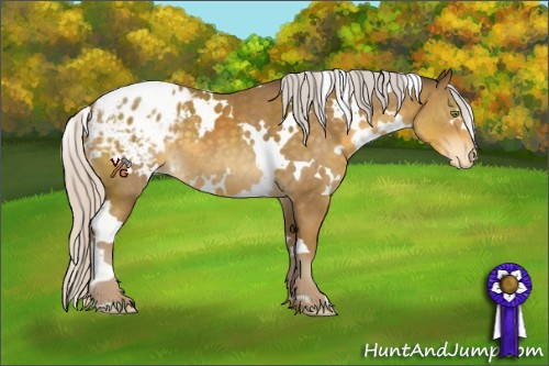 Horse Color:White Spotted Silver Classic Cream Champagne Blanket