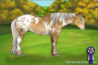 Horse Color:White Spotted Silver Classic Cream Champagne Appaloosa 