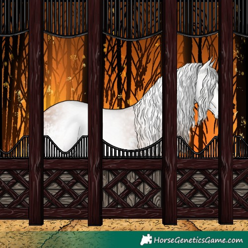 Horse Color:Gray White Spotted Gold Champagne