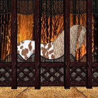 Horse Color:Chestnut Tobiano Appaloosa 