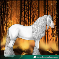 Horse Color:Gray Gold Champagne Tobiano Appaloosa