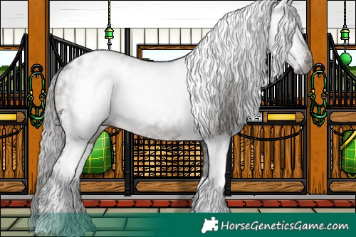 Horse Color:Gray White Spotted Brown Tobiano Appaloosa 