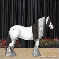 Horse Color:Smoky Blue Onyx Tobiano Appaloosa 