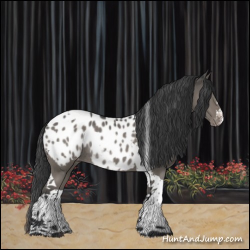 Horse Color:Grullo Tobiano Near Leopard Rabicano 