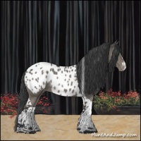 Horse Color:Grullo Tobiano Near Leopard Rabicano 