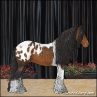Horse Color:Buckskin Tobiano Blanket 
