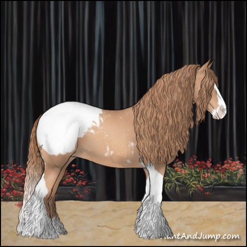 Horse Color:Gold Champagne Splash Tobiano Appaloosa