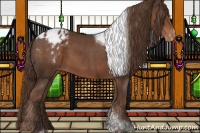 Horse Color:Liver Chestnut Tobiano Blanket