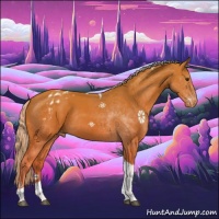 Horse Color:Palomino Tobiano Varnish Rabicano 
