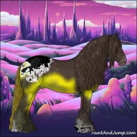 Horse Color:Liver Chestnut Tobiano Appaloosa