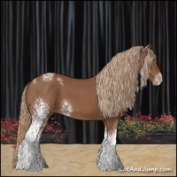 Horse Color:White Spotted Chestnut Tobiano Varnish 