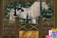 Horse Color:Palomino Ice Dun Sabino Tobiano Blanket Rabicano 