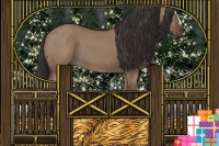 Horse Color:Bay Dun Sabino 