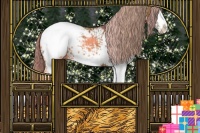 Horse Color:White Spotted Chocolate Palomino Snowcap Rabicano 