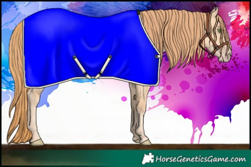 Horse Color:Gold Champagne Dun 